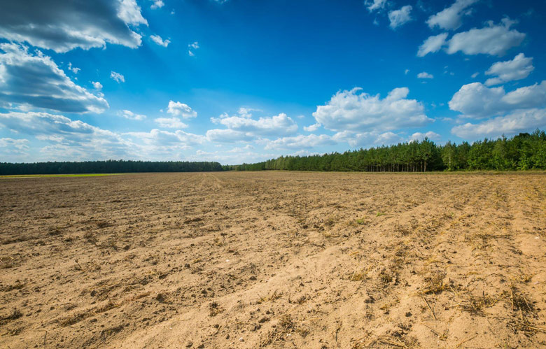How-Changing-Weather-Patterns-Are-Impacting-Soil-Movement-in-Texas